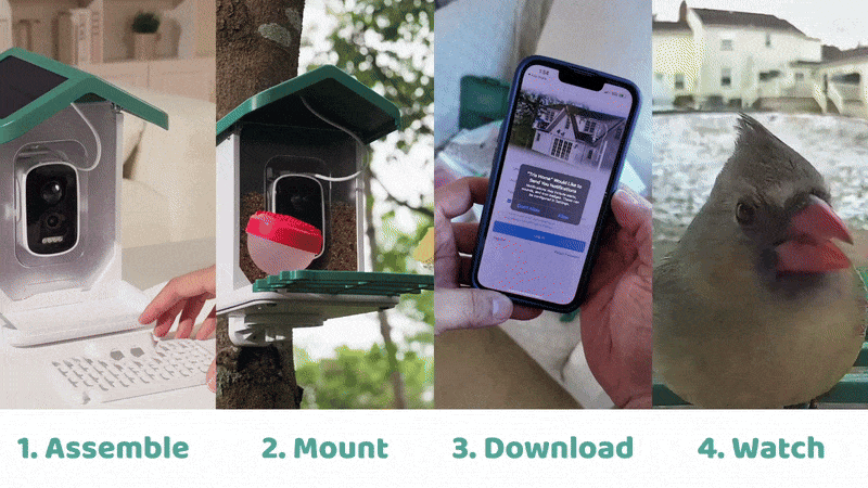 So Simple, Anyone Can Do It!